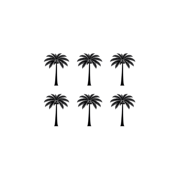 The 6 Palms Collection